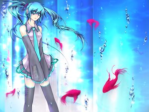 Post 53481