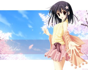 Post 9611
