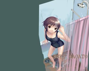 Post 4508