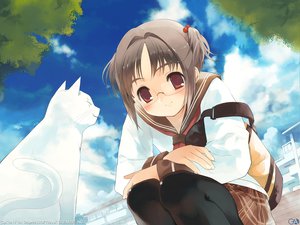 Post 17037