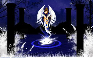 Post 70725