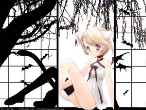 Post 829