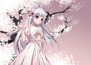 Post 95101