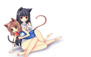 Post 88610