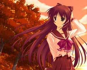 Post 63077