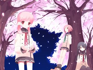 Post 16034