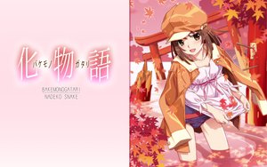 Post 62661