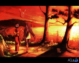Post 24801
